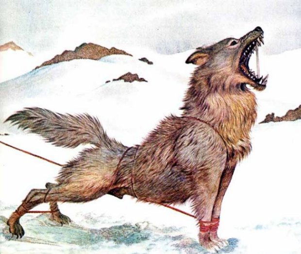 Fenriro