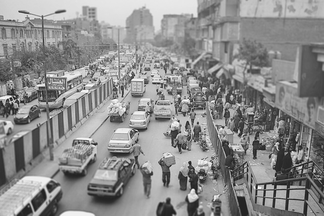 Gamal Abdel Nasser: La Vivo kaj Tempoj de la Karisma Gvidanto de Egiptio
