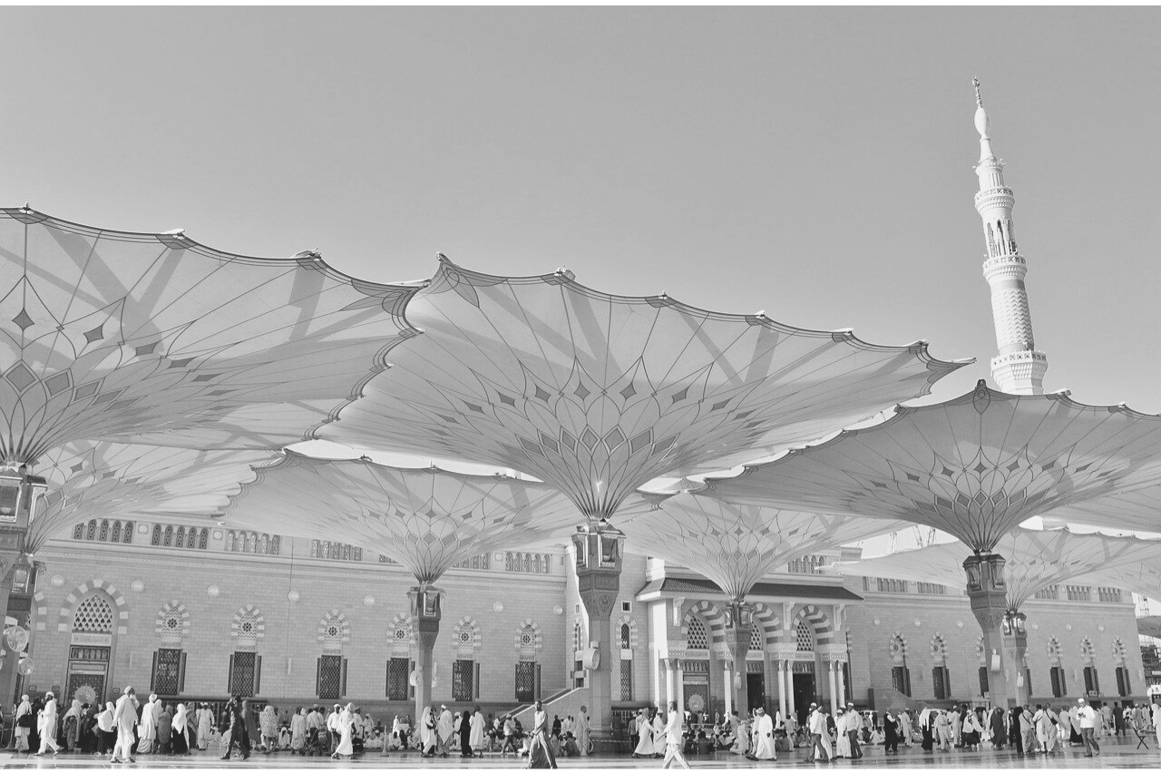 La Kunuloj de la Profeto Mohamedo (Aŝab aŭ Sahabo)