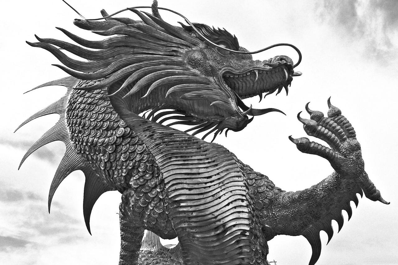 Drako Kun Felo: La Rakonto Pri Fluganta Lacerto