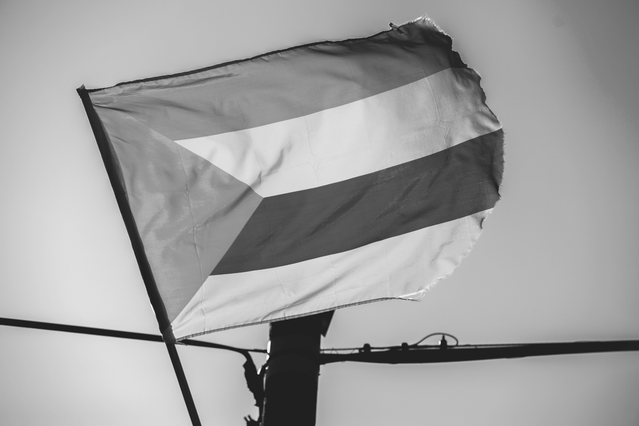 La Druzoj: La Sekretaj Araboj de Libano, Sirio kaj Israelo