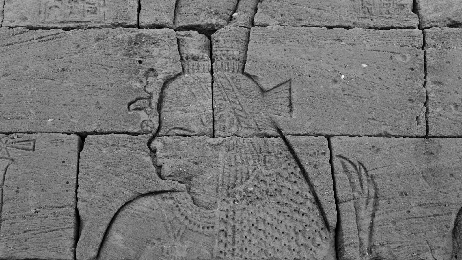 Nephthys: La Antikva Egipta Diino, Kiu Delogis Ozirison