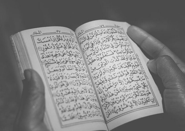 Dekduimamaj Ŝijaitoj pri Narĝiso, patrino de Muhammad al-Mahdi